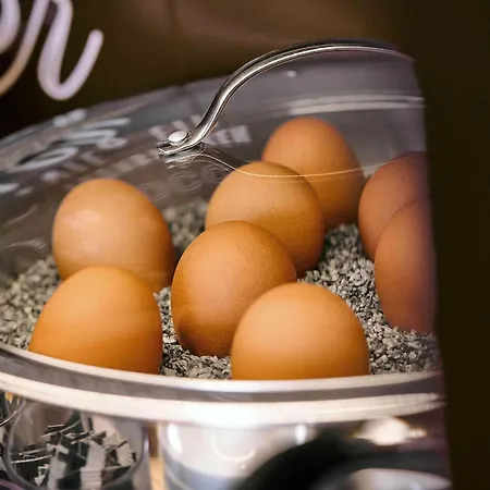 Hotell Magdeburg-barleben 3*